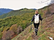 60 I boschi si stanno colorando d'autunno